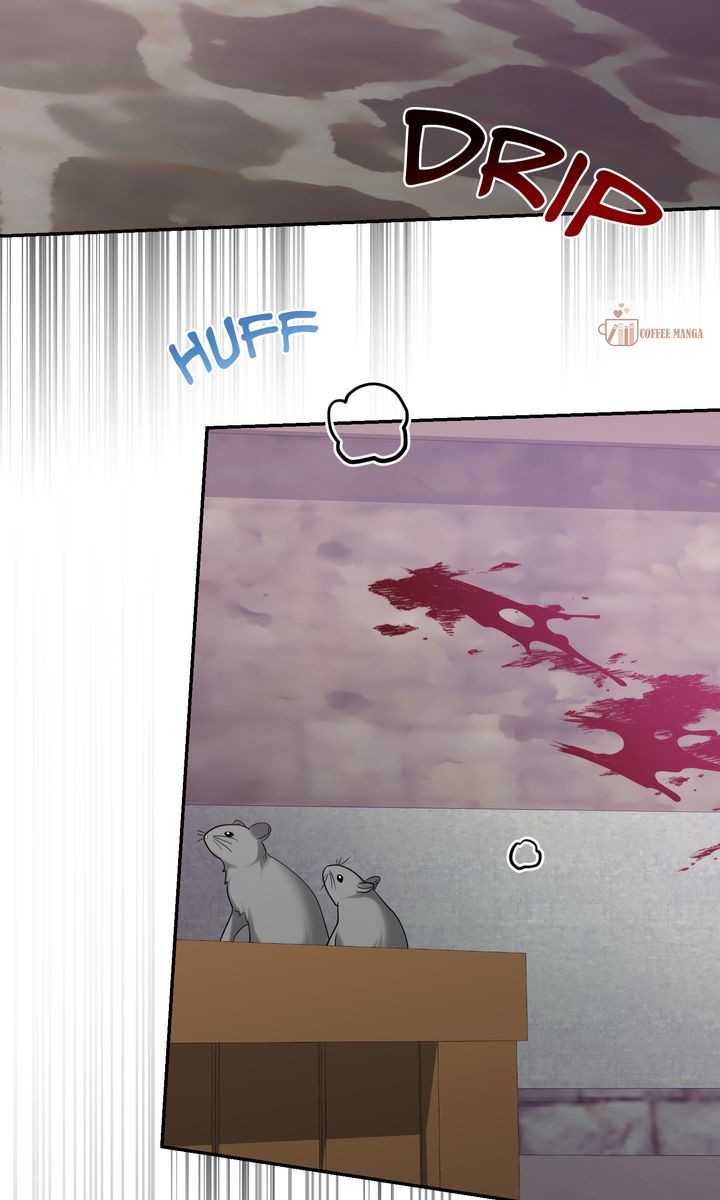 ch 32 84