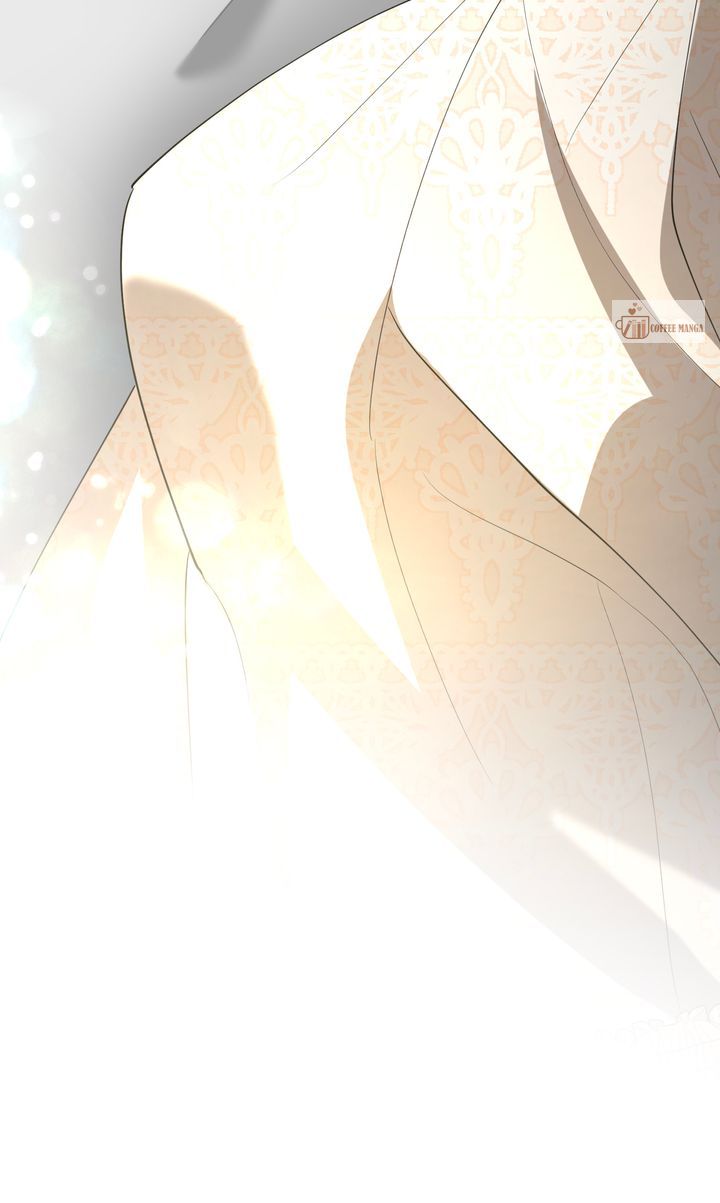 ch 41 99