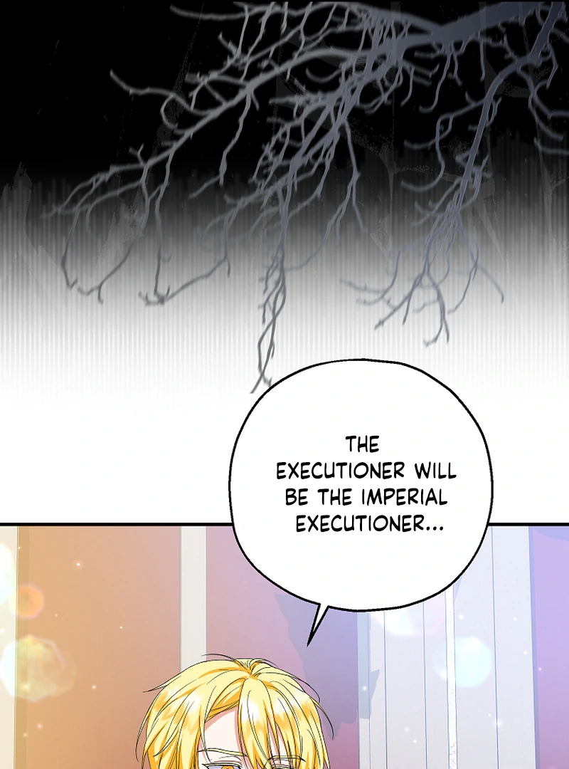 ch 85 114