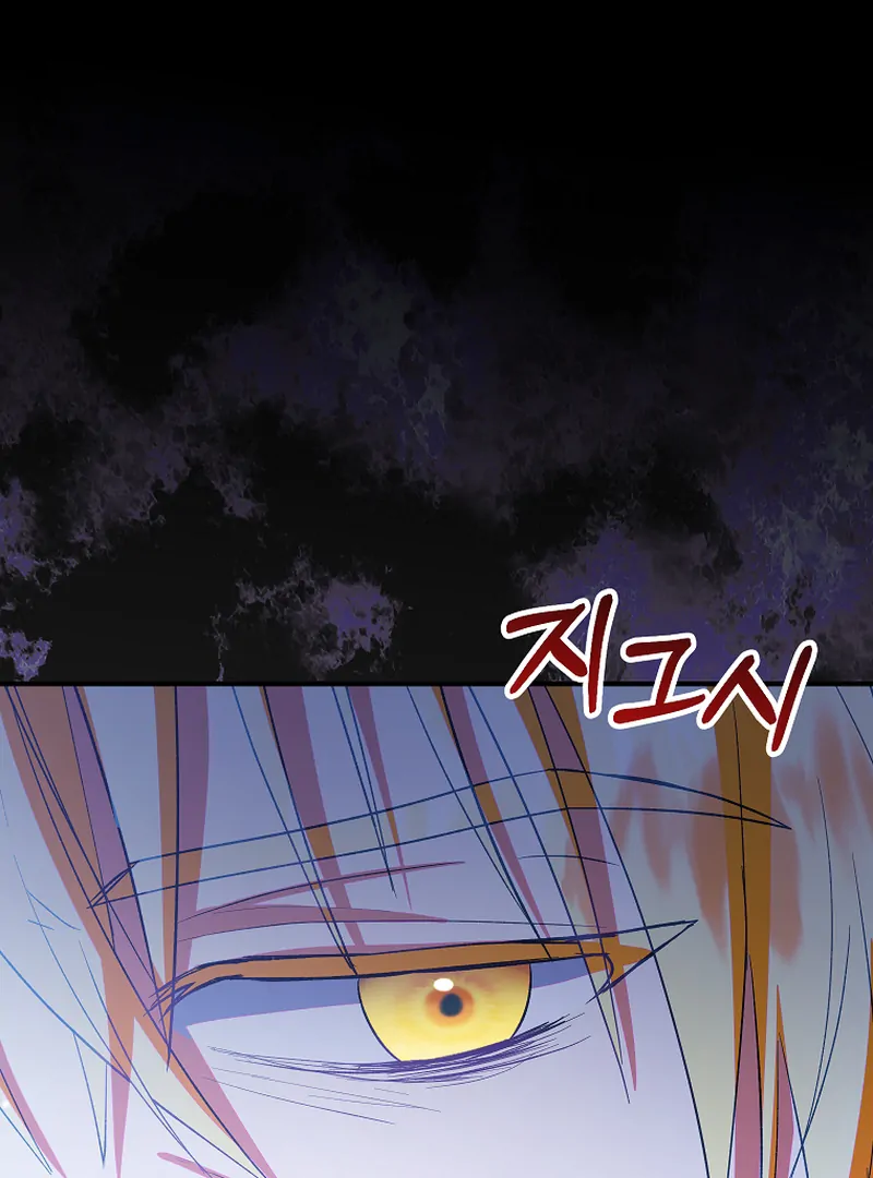 ch 85 13