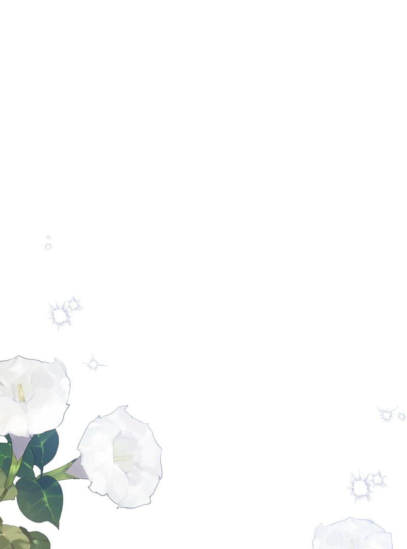 ch 85 24