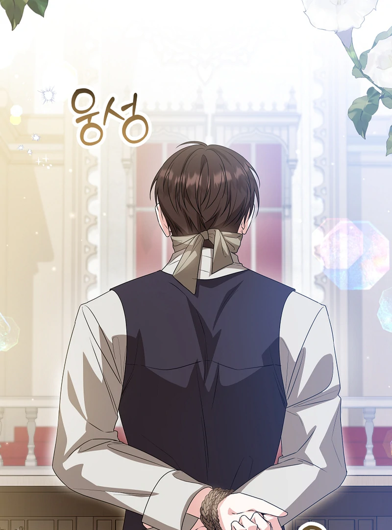 ch 85 25