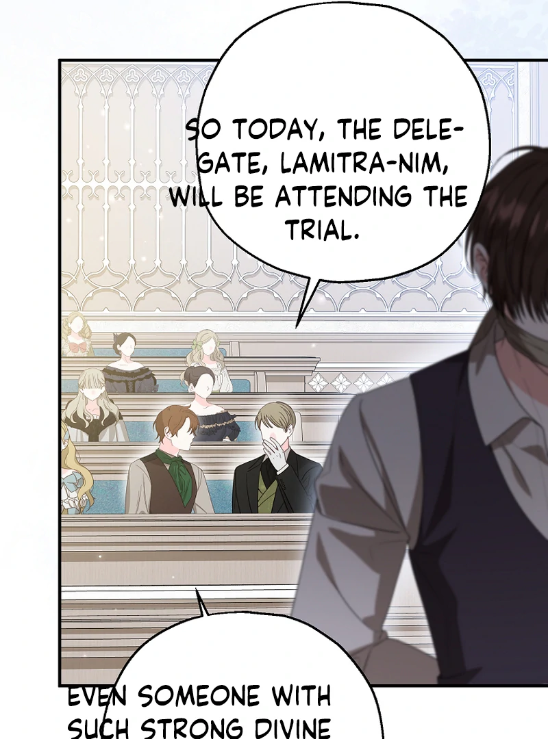 ch 85 29