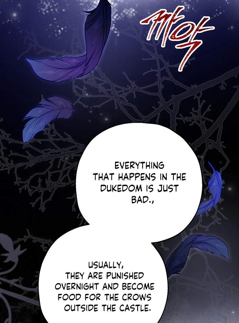 ch 85 64