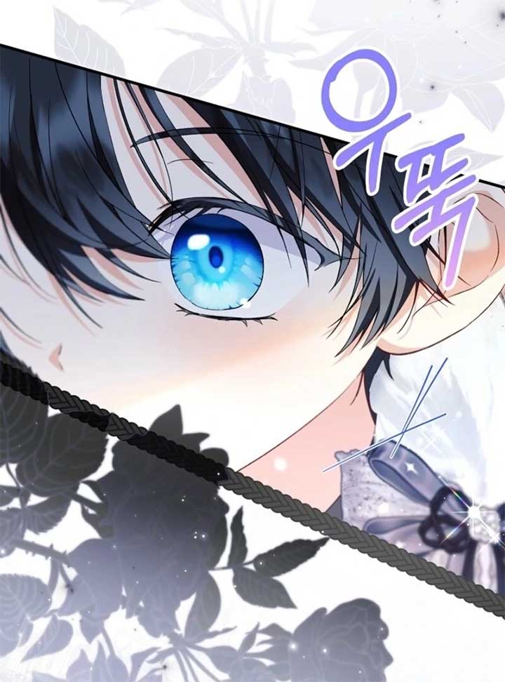 ch 95 111