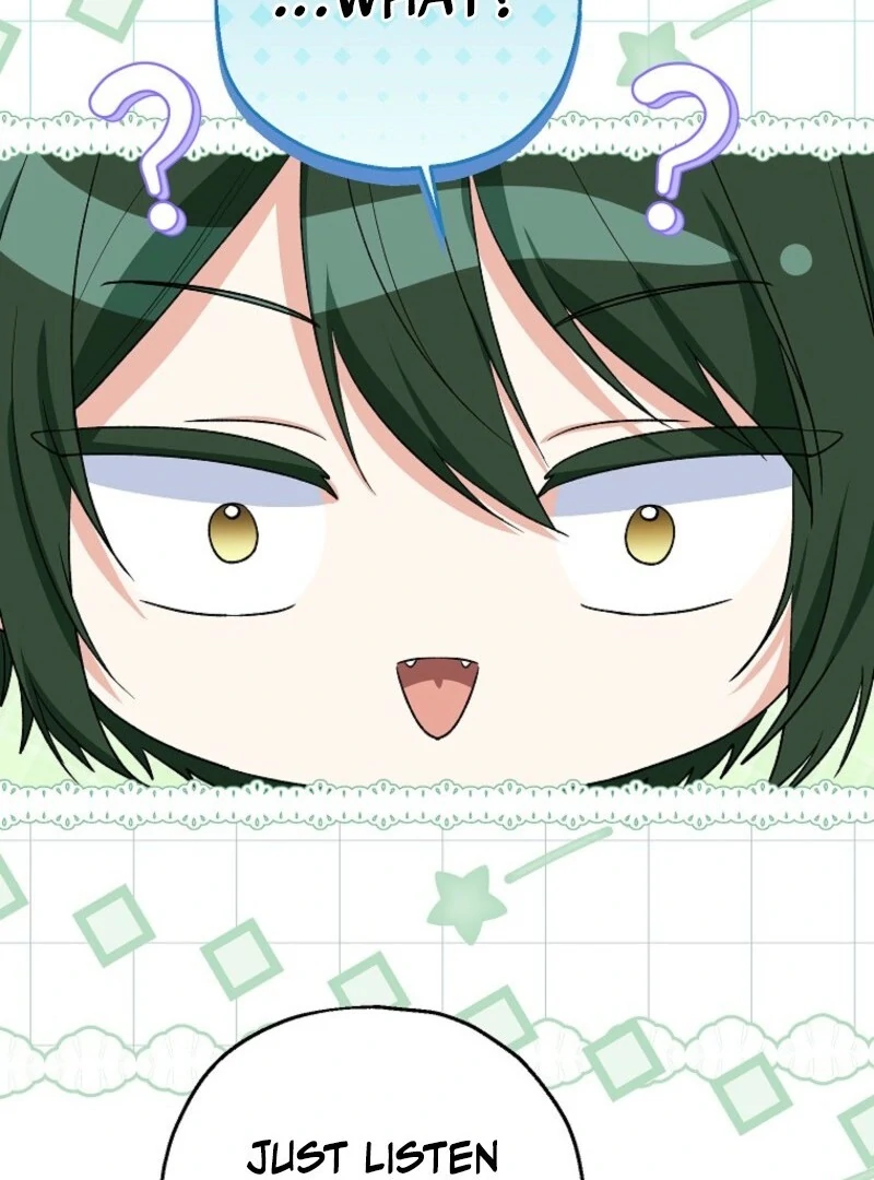 ch 96 113
