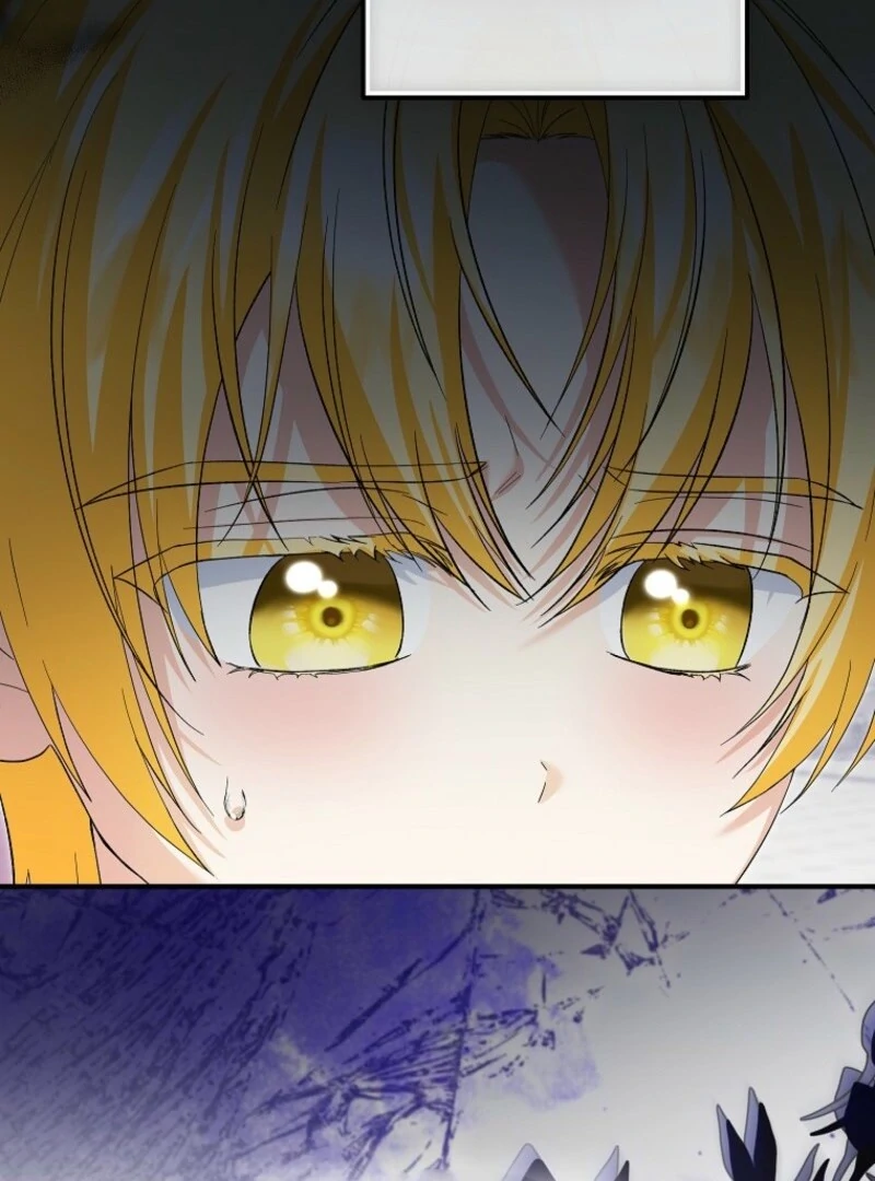 ch 96 28