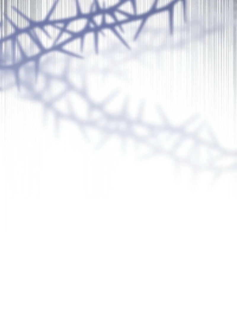 ch 96 40