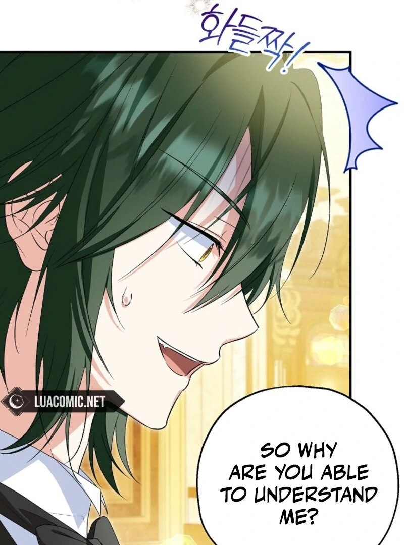 ch 96 95