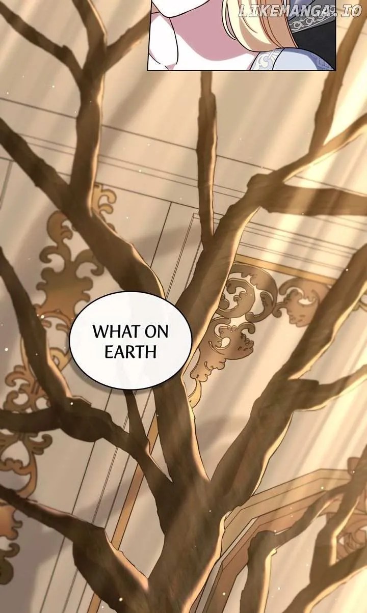 2ac8641572f7