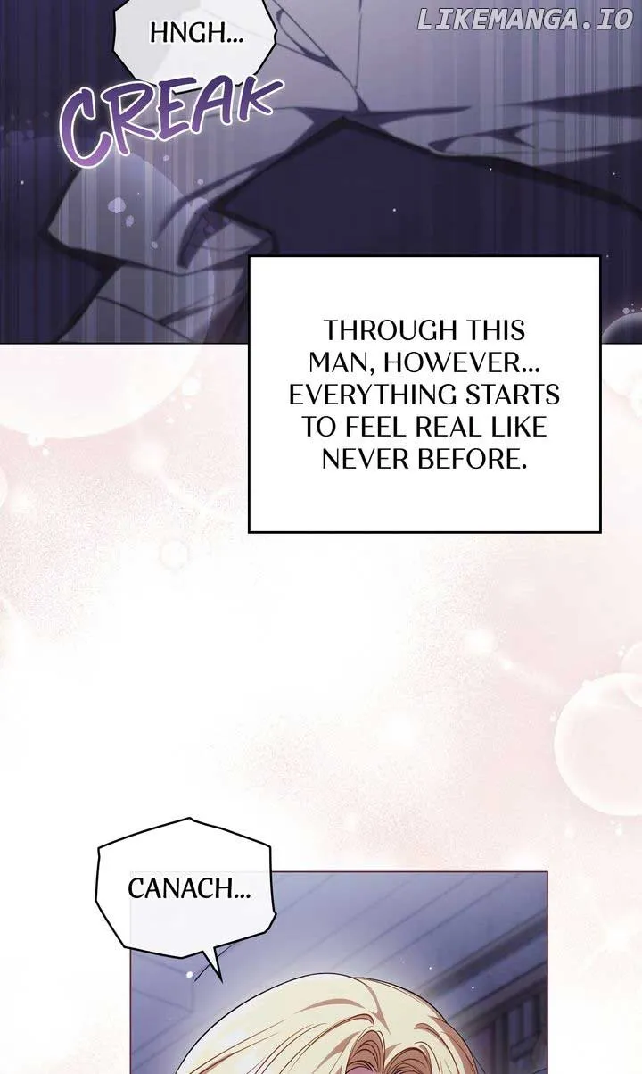 19935d3136dd