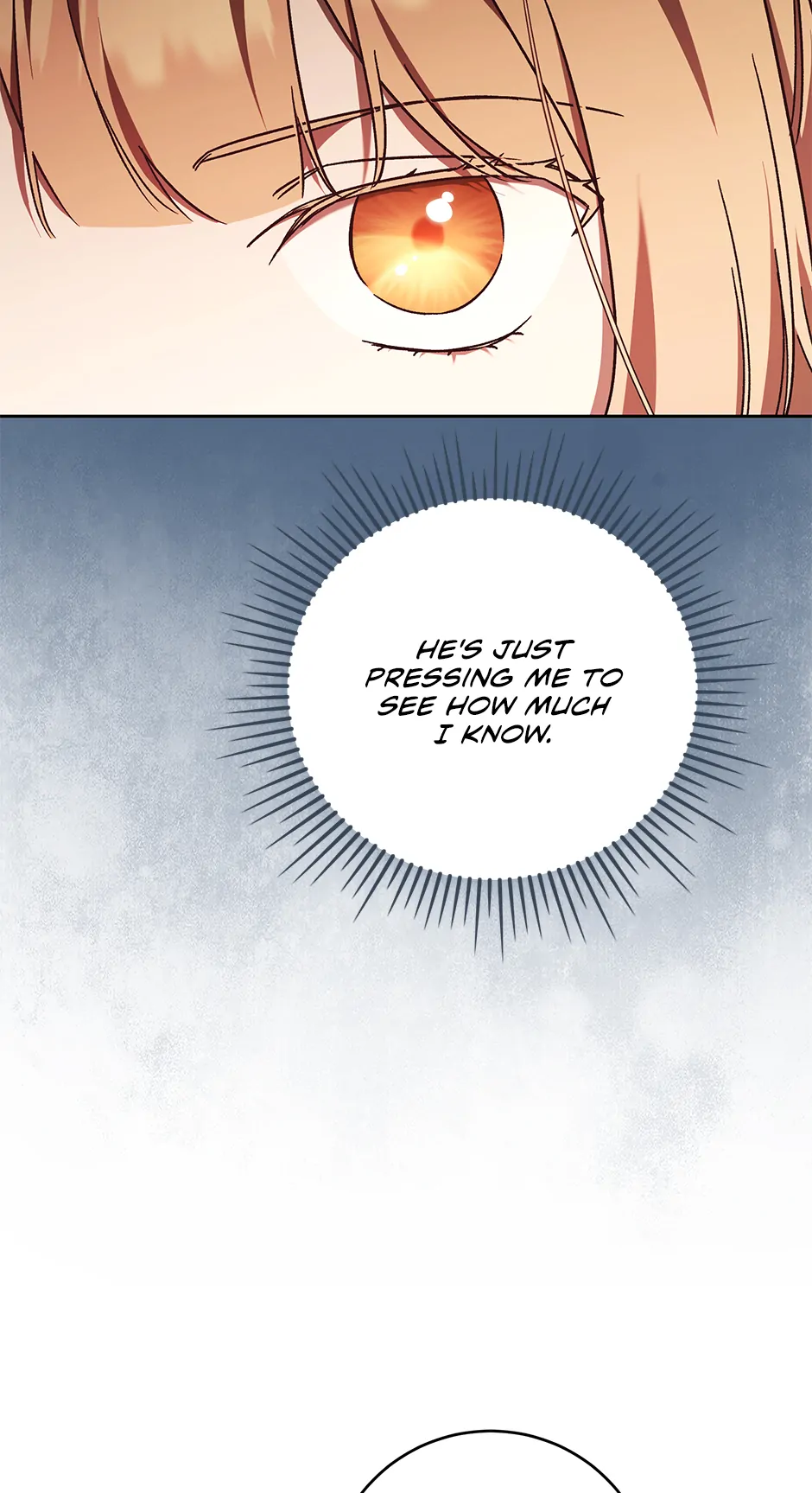 The Young Lady Who Broke Her Engagement Is Only Obsessed With the Ending Chapter 47 371 037
