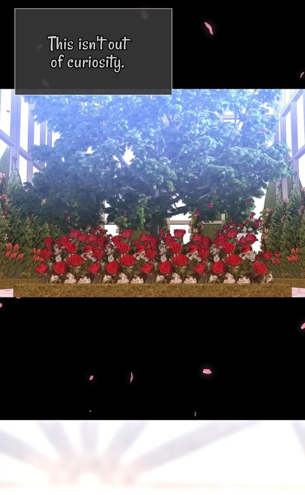 Charlotte Has Five Disciples Chapter 137 156 32