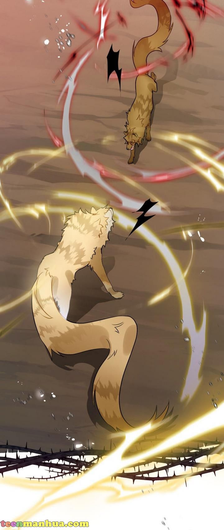 25