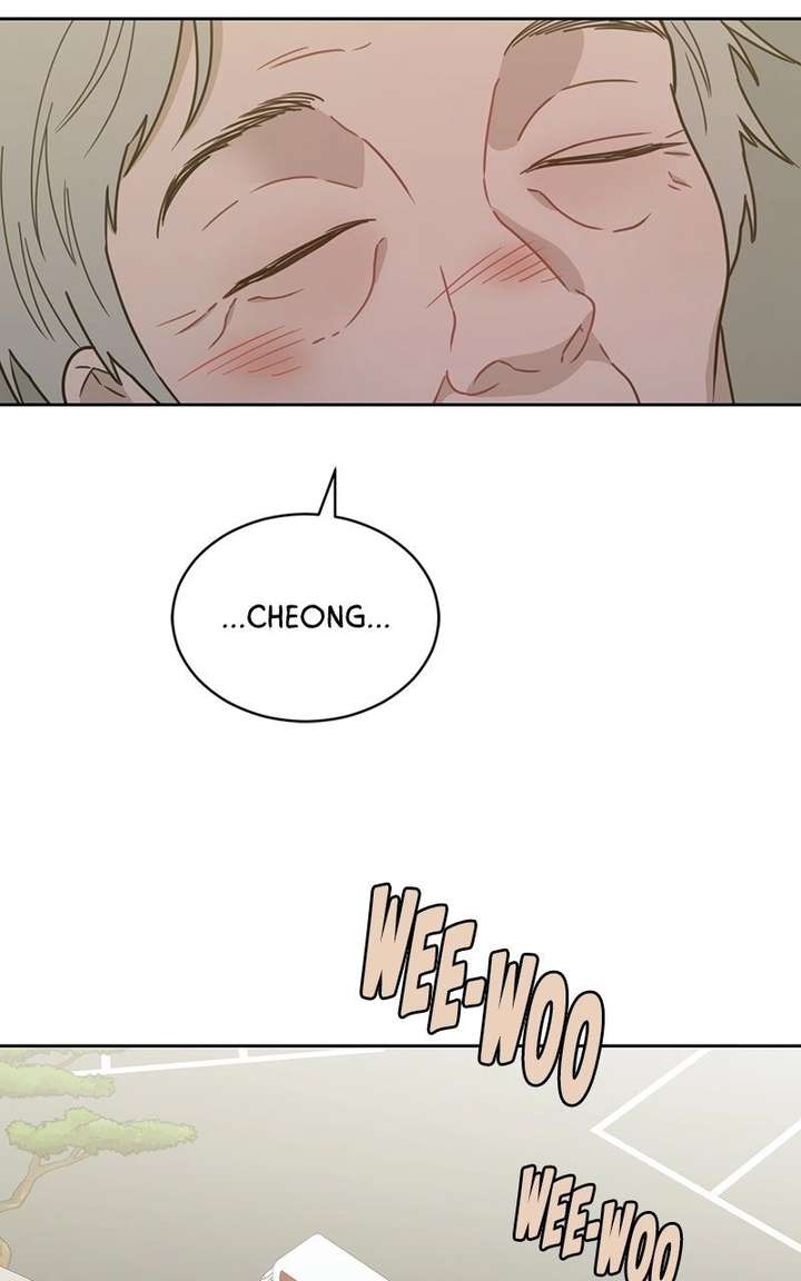 ch 90 21