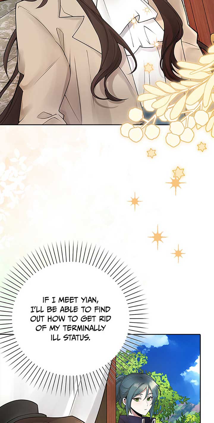 The Dungeon’s Time-Bound S-Rank Beauty Chapter 3 314 37