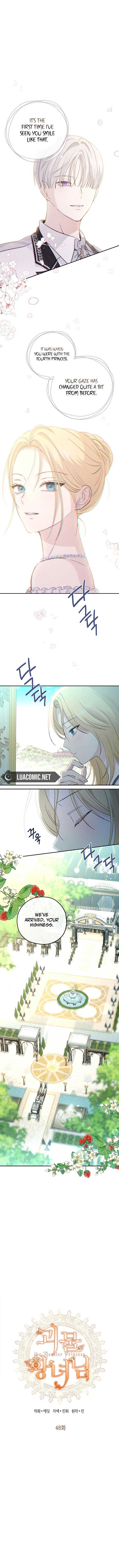 ch 48 1