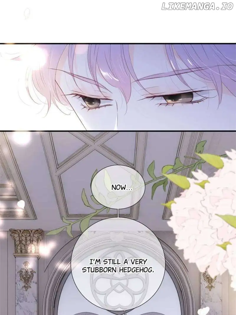 The Beauty Ran Away With The Hedgehog Chapter 87 272 64