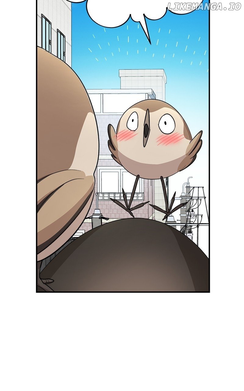 ch 61 5