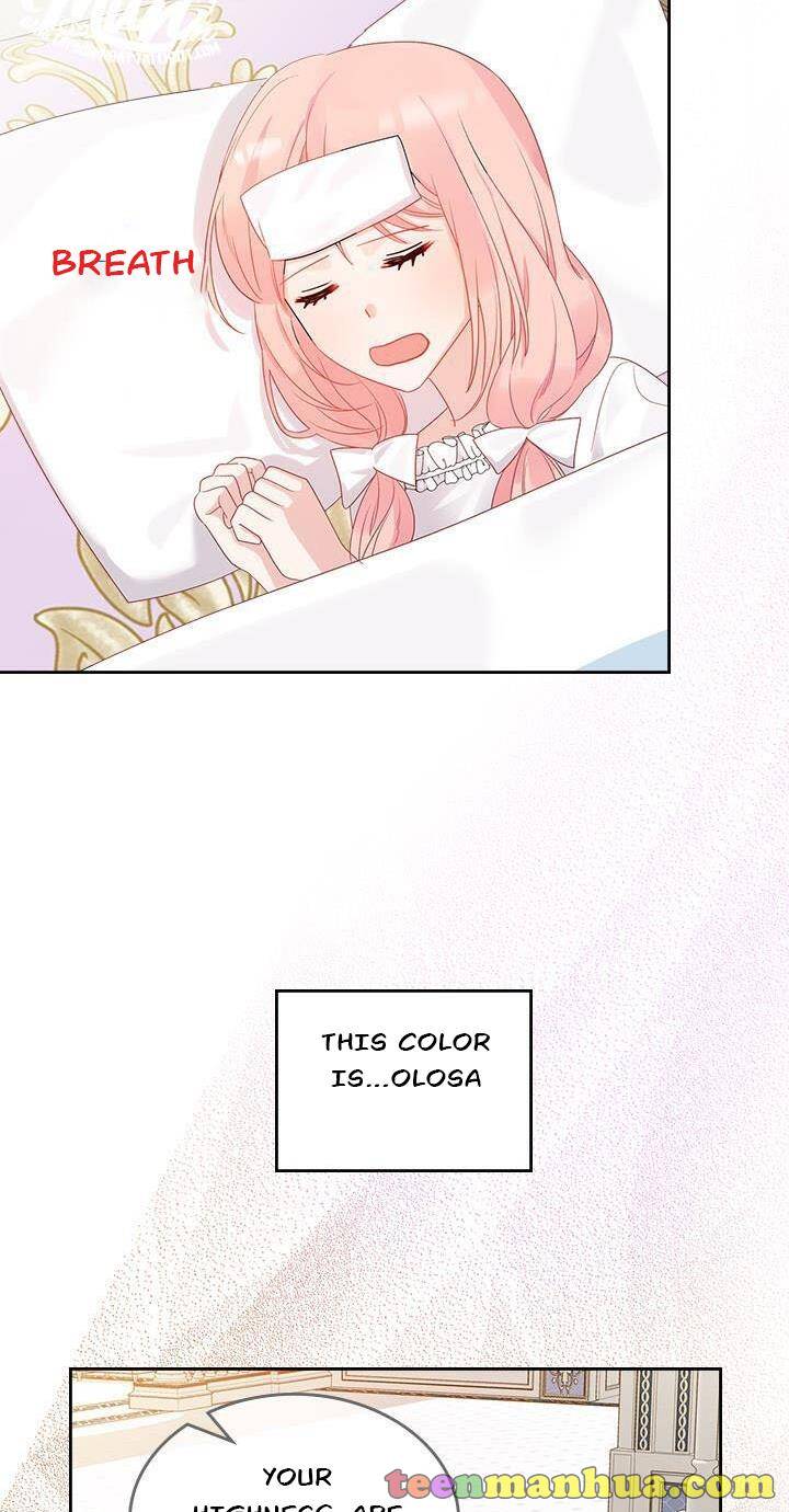 The Villainous Princess Wants to Live in a Gingerbread House Chapter 27.1 101 019