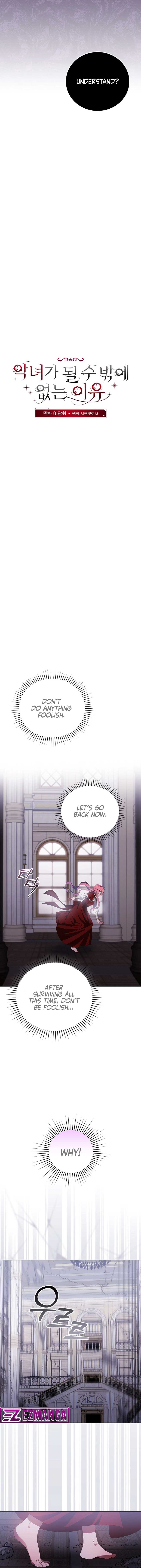 The Reason I Have to Be a Villain Chapter 37 63 5