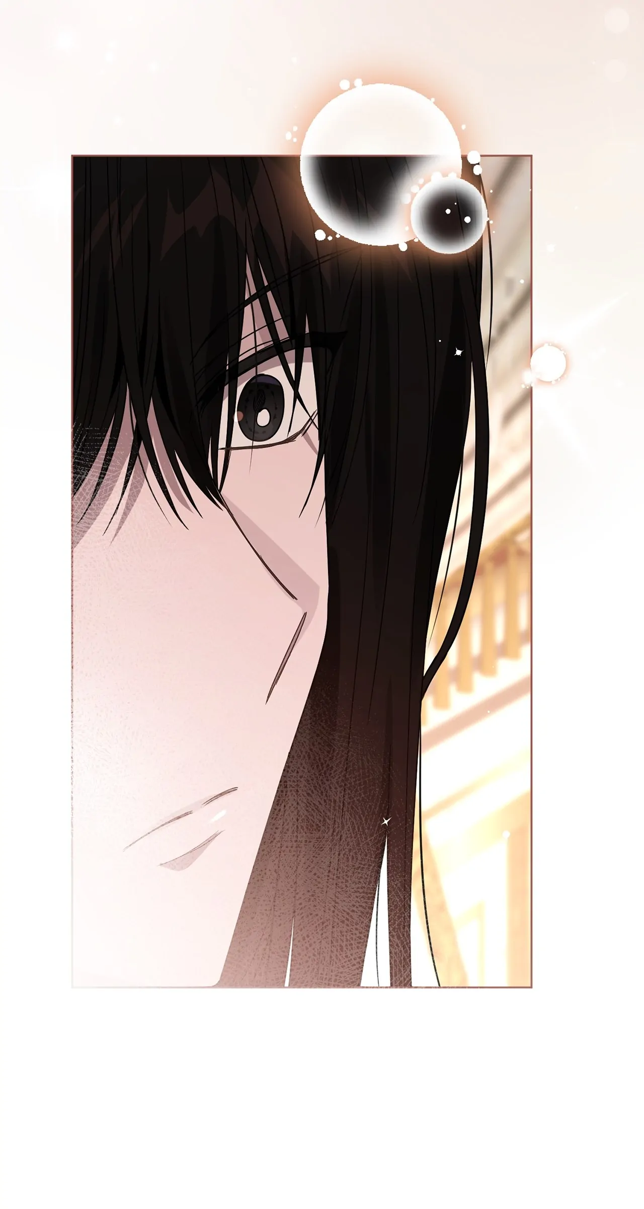 The Blackened Second Male Lead’s Wife Series Chapter 32 317 46