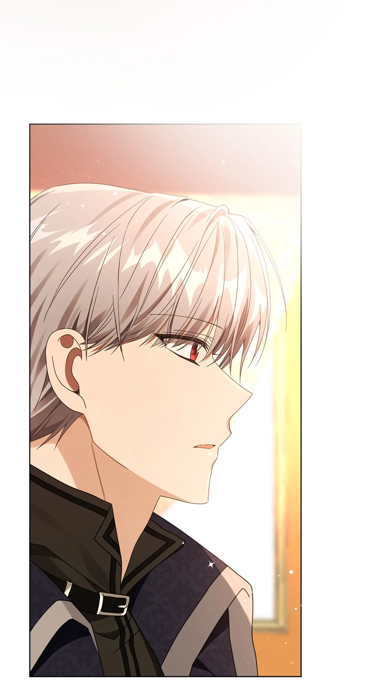 The Blackened Second Male Lead’s Wife Series Chapter 33 274 48