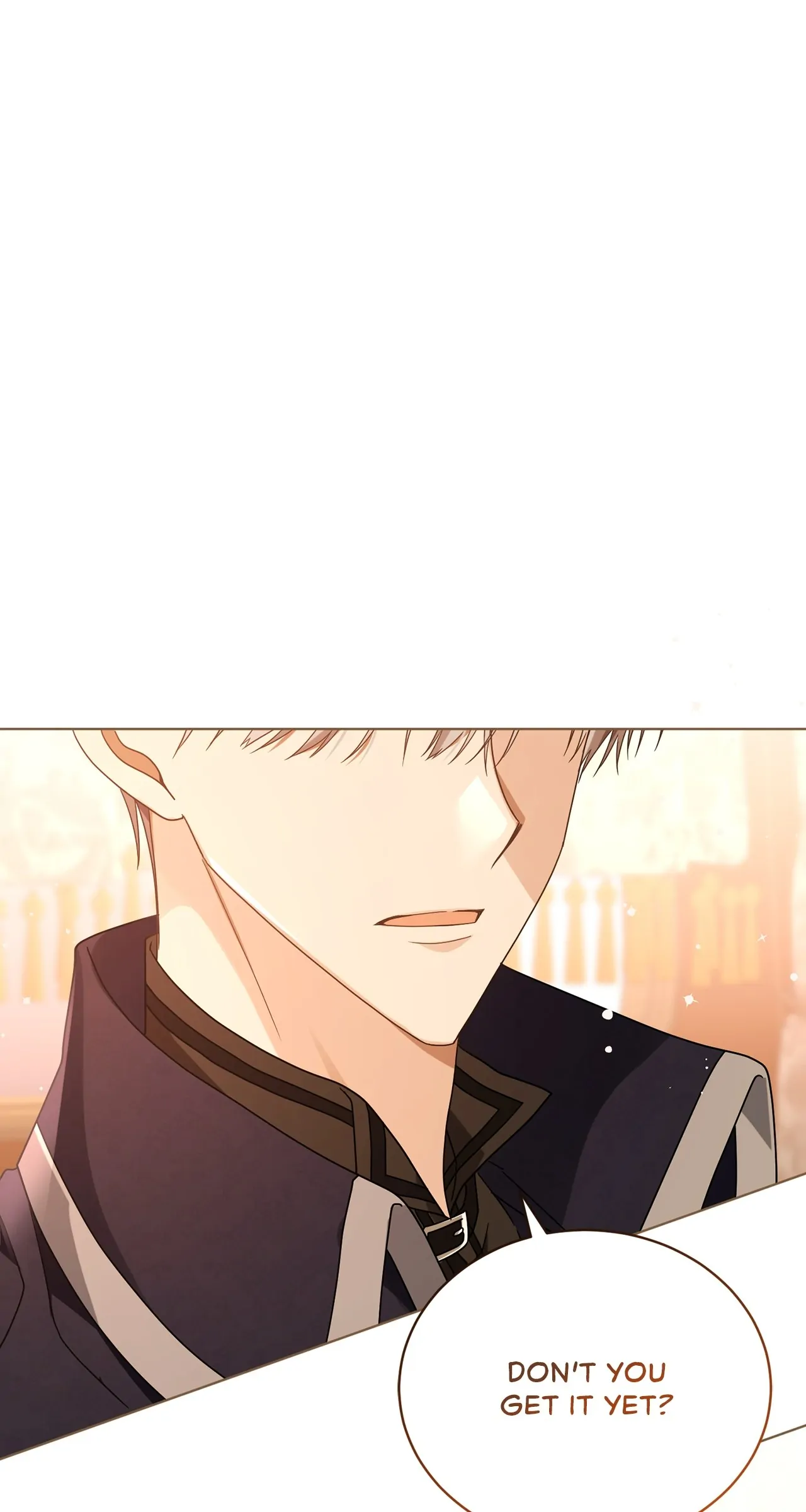 The Blackened Second Male Lead’s Wife Series Chapter 33 295 69