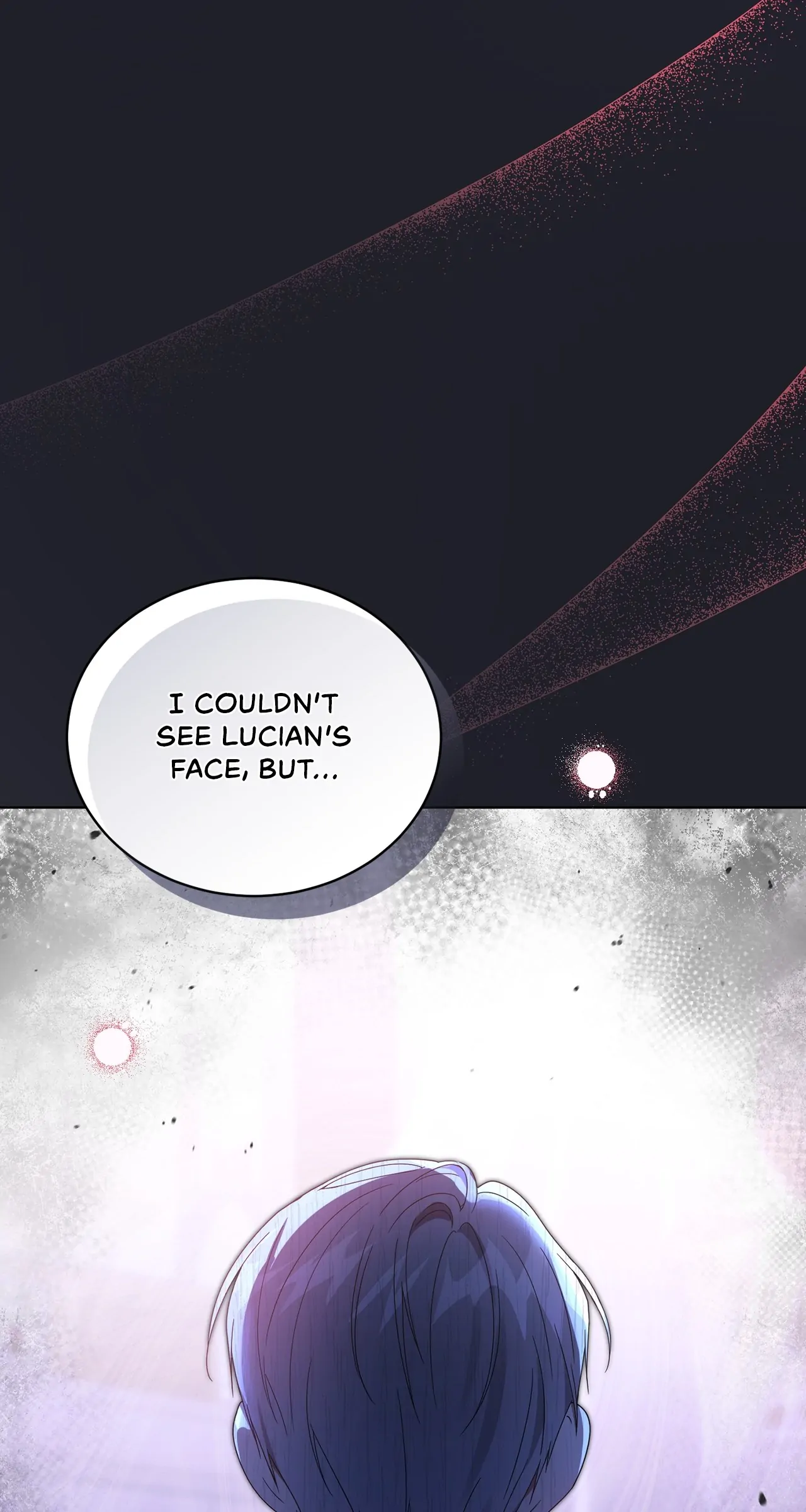 The Blackened Second Male Lead’s Wife Series Chapter 35 376 060