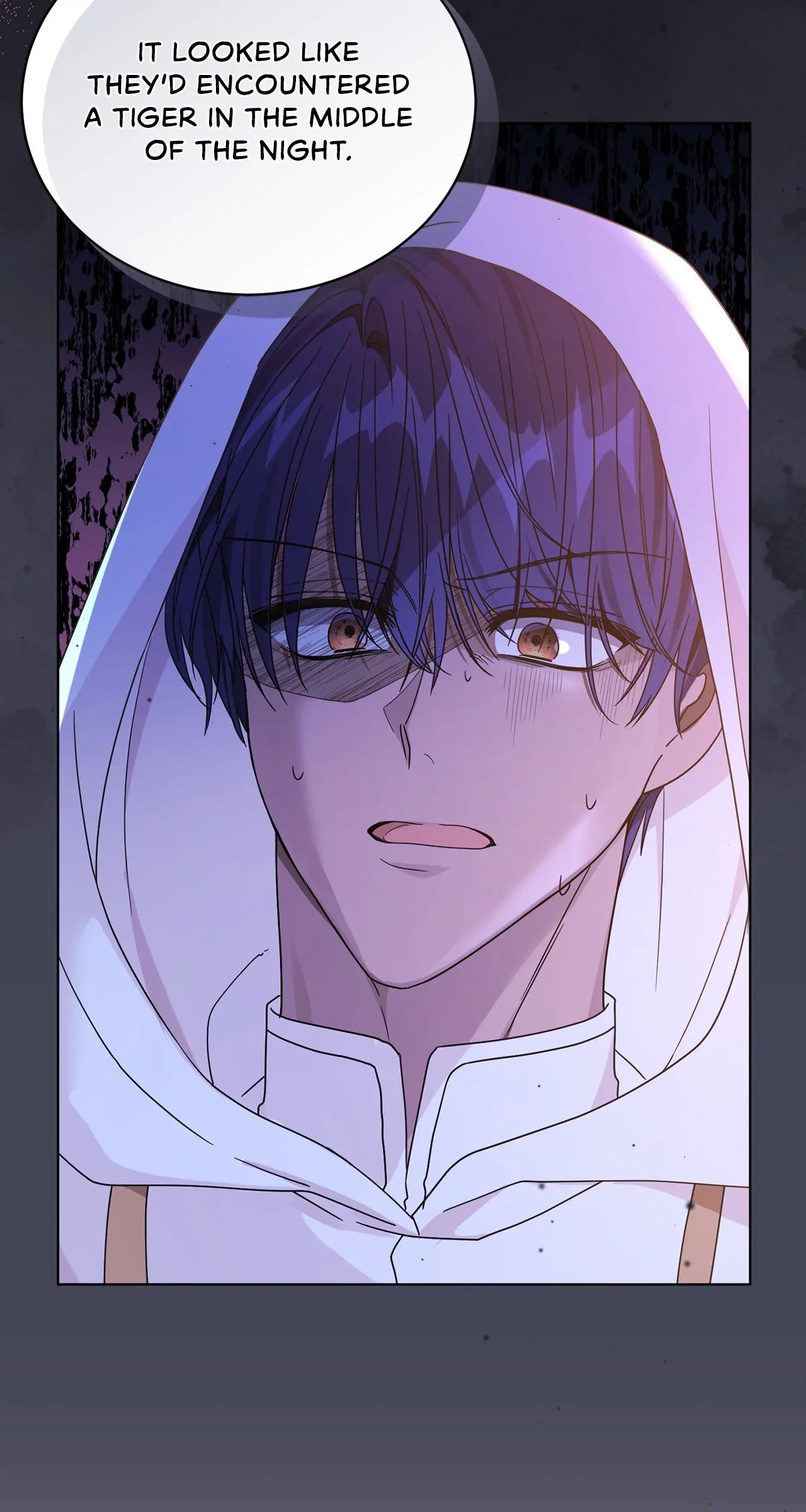 The Blackened Second Male Lead’s Wife Series Chapter 35 378 062
