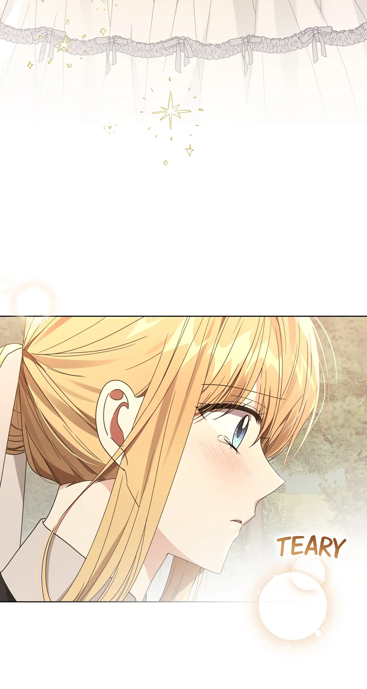 The Blackened Second Male Lead’s Wife Series Chapter 36 372 041