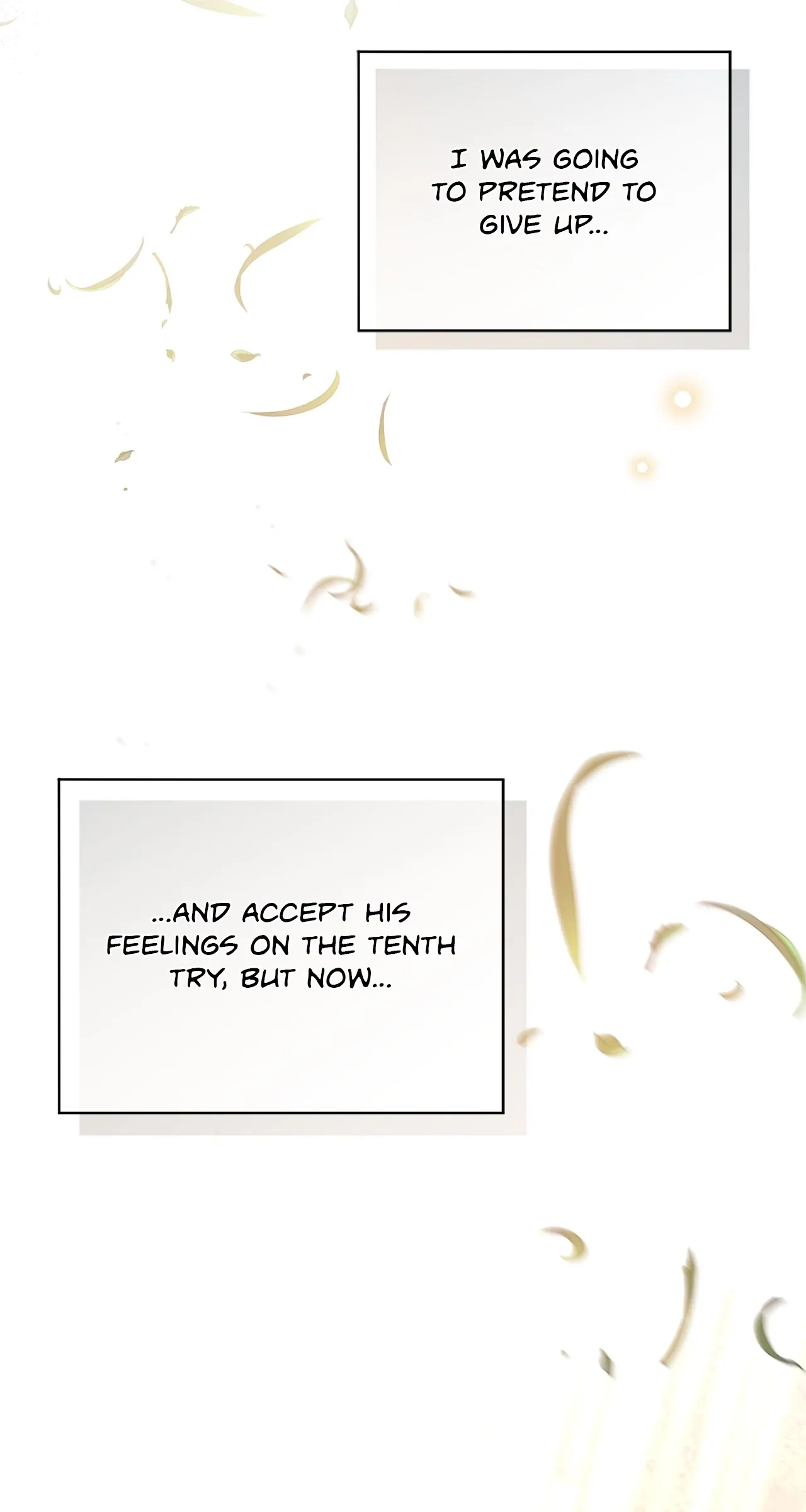 The Blackened Second Male Lead’s Wife Series Chapter 36 408 077