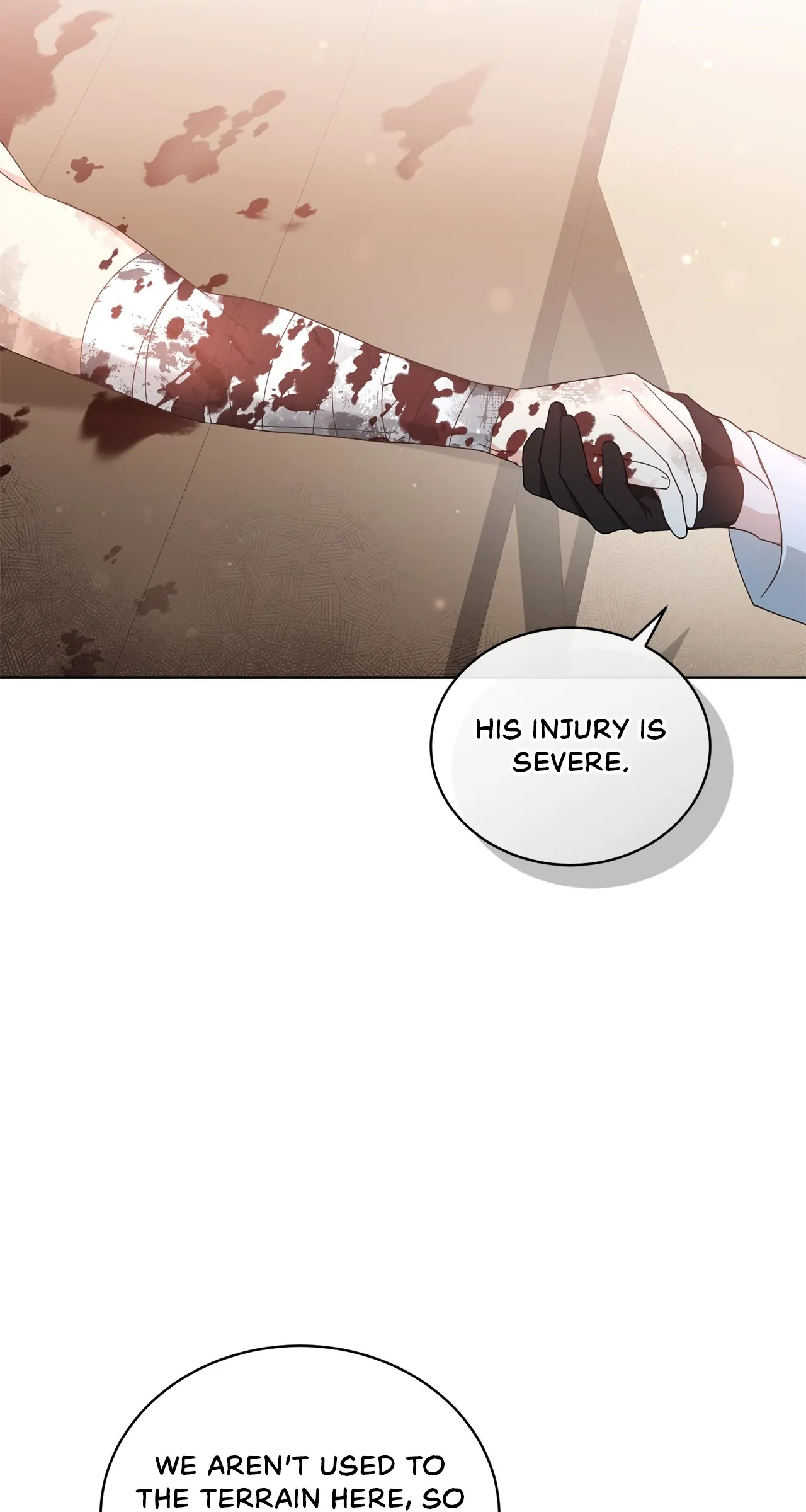 The Blackened Second Male Lead’s Wife Series Chapter 49 332 40