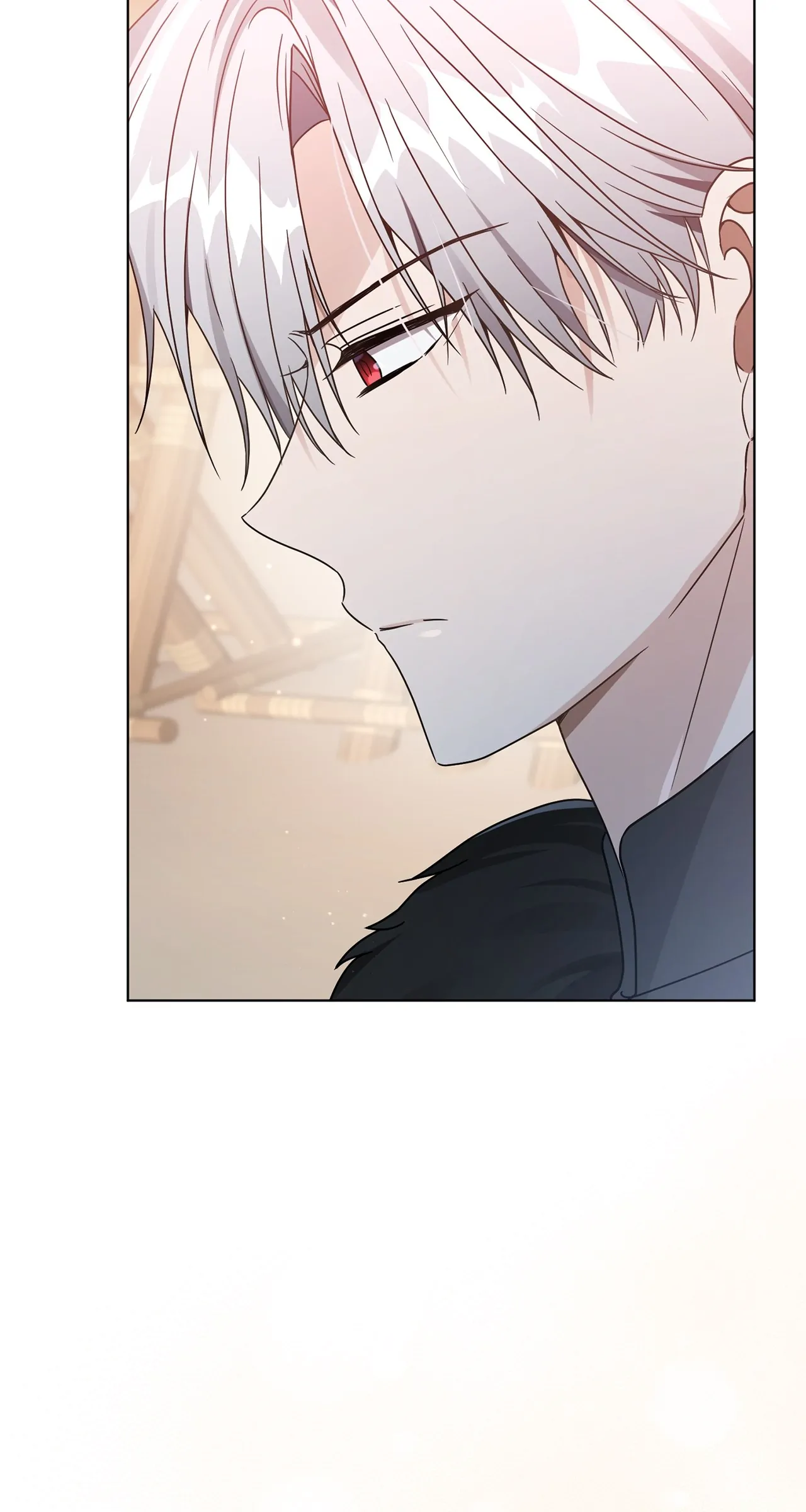 The Blackened Second Male Lead’s Wife Series Chapter 49 336 44