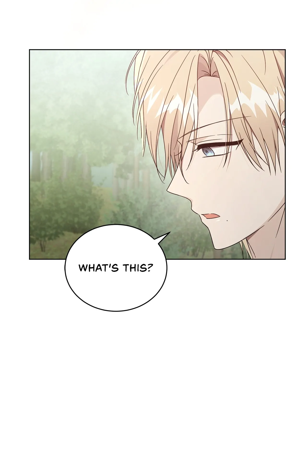 The Blackened Second Male Lead’s Wife Series Chapter 53 316 51