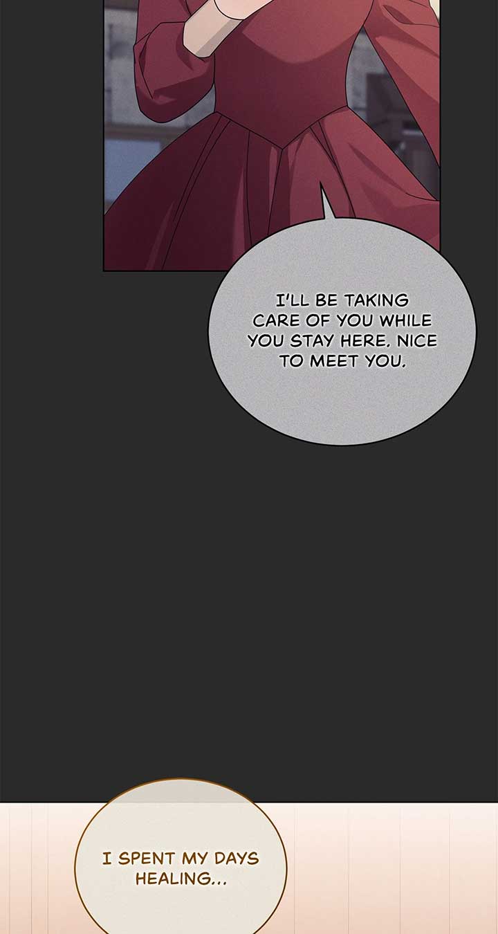 The Blackened Second Male Lead’s Wife Series Chapter 62 284 46