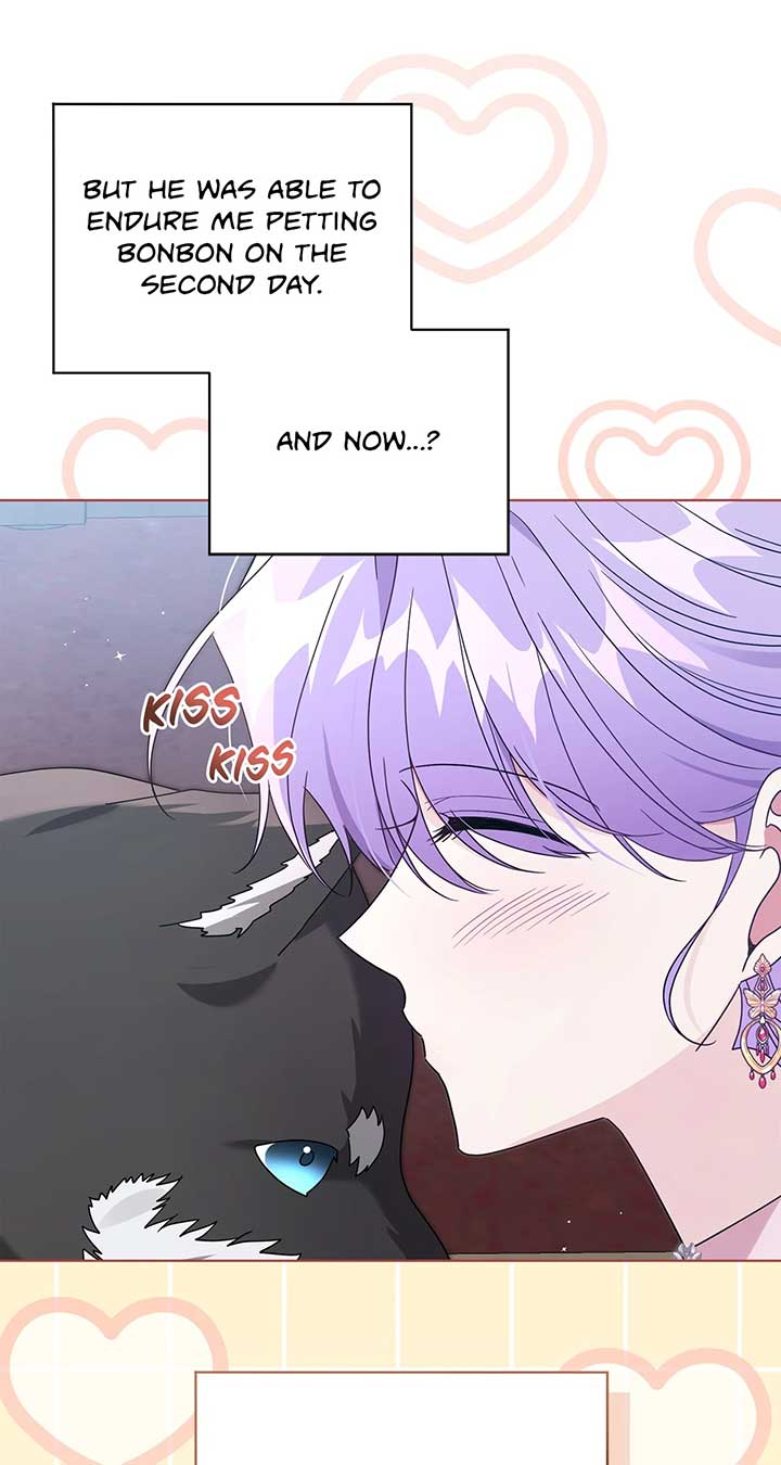 The Blackened Second Male Lead’s Wife Series Chapter 67 307 69
