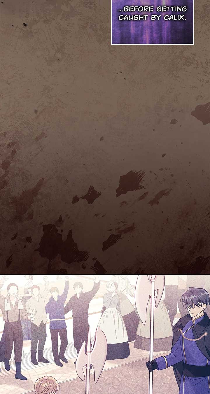 ch 81 13