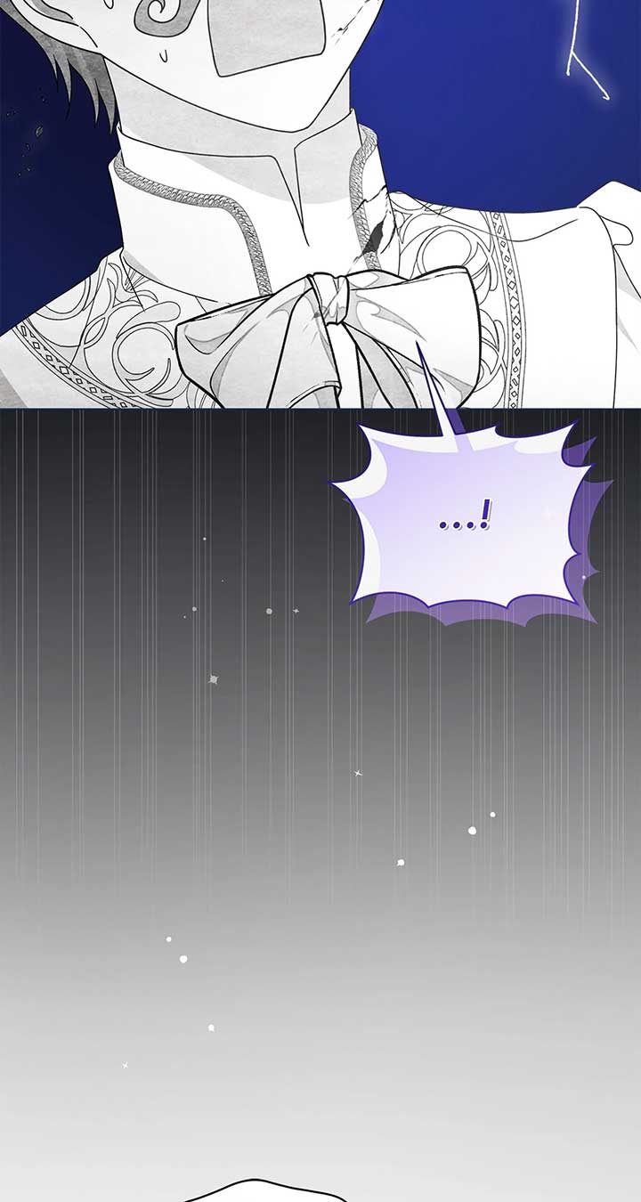 ch 81 66
