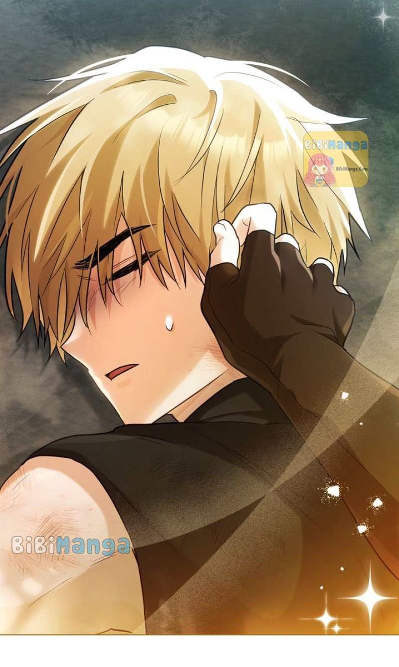 Falling for a Dying Princess Chapter 11 247 12
