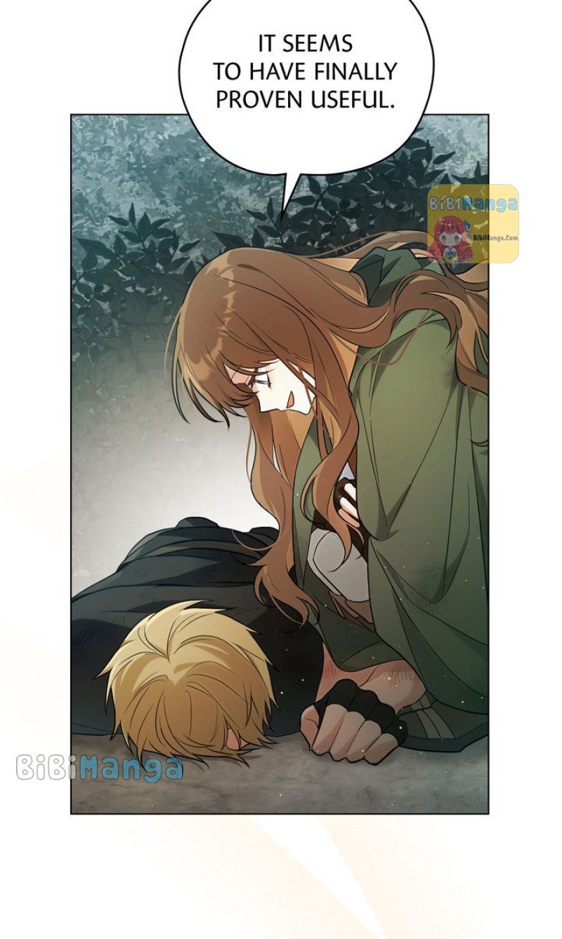 Falling for a Dying Princess Chapter 11 249 14