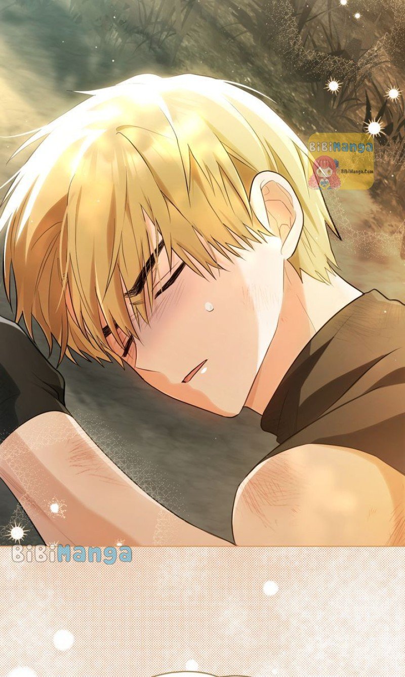 Falling for a Dying Princess Chapter 11 253 18