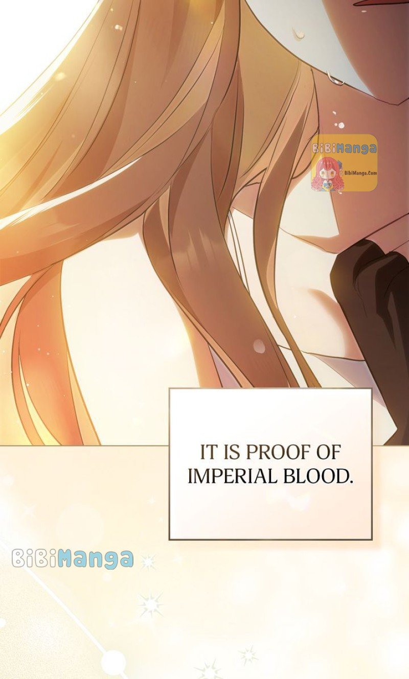Falling for a Dying Princess Chapter 12 300 68