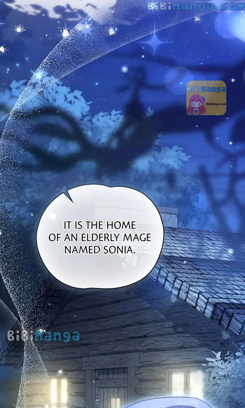 Falling for a Dying Princess Chapter 17 293 52