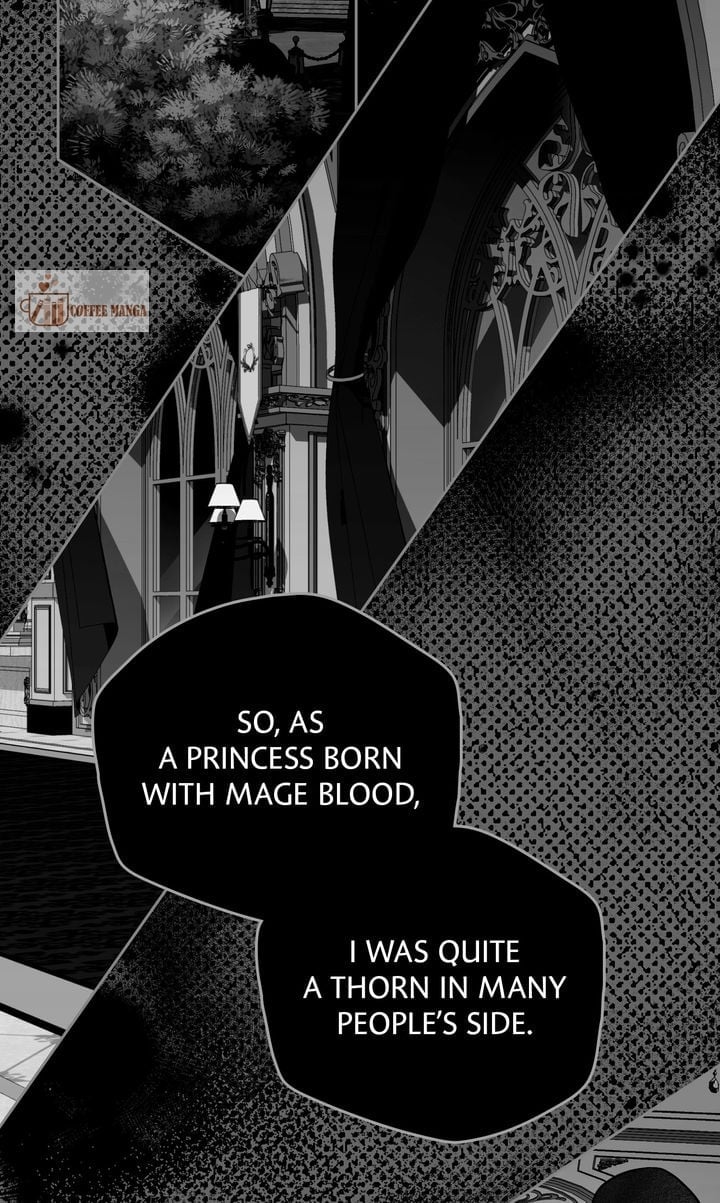 Falling for a Dying Princess Chapter 42 264 23