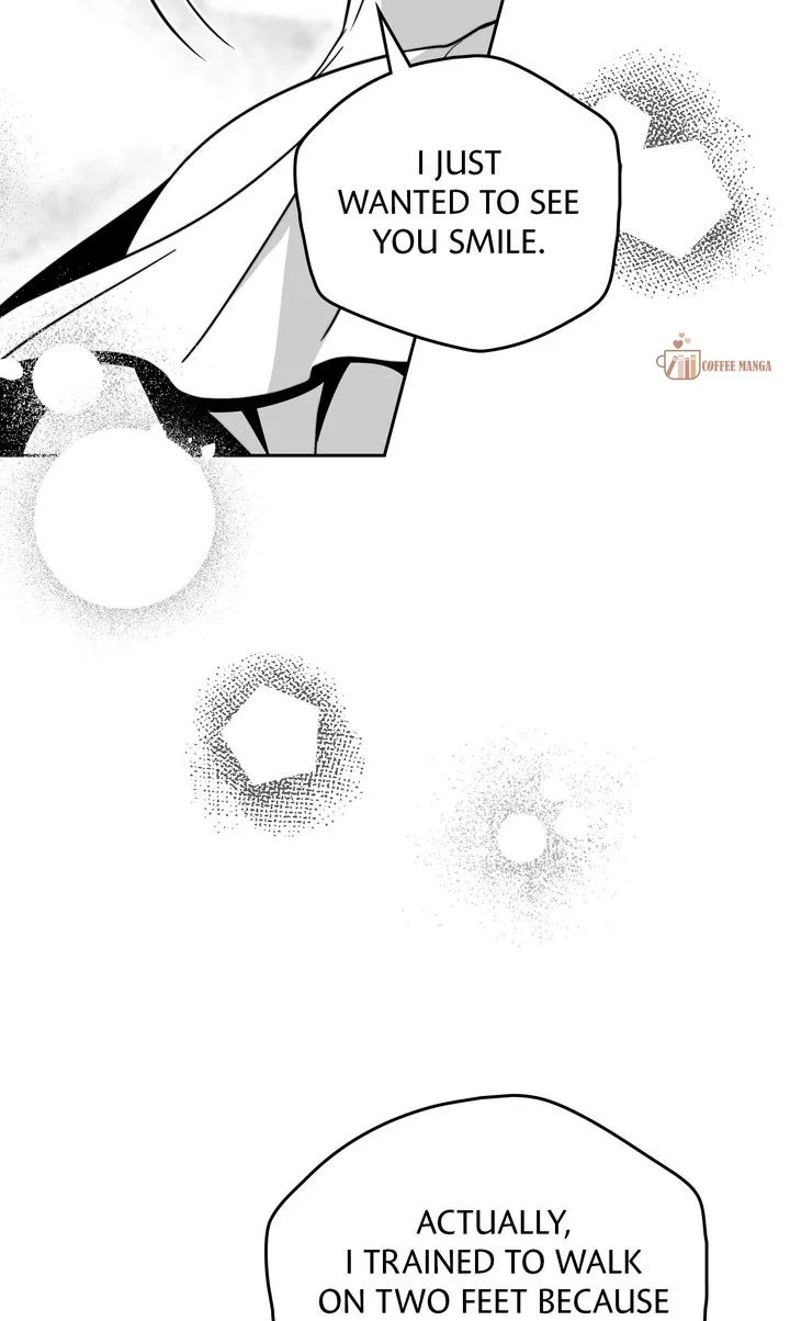 Falling for a Dying Princess Chapter 62 246 17