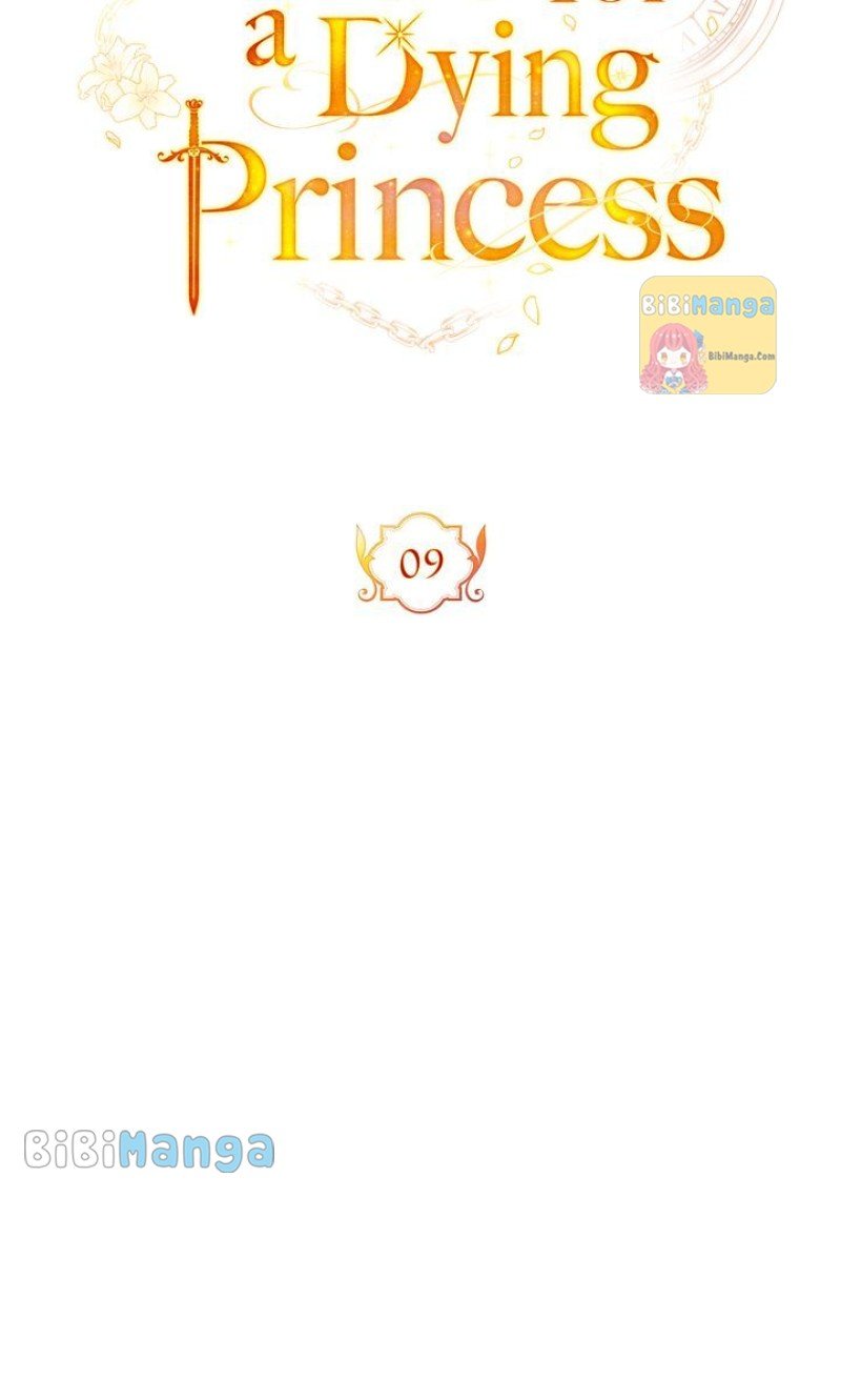 Falling for a Dying Princess Chapter 9 284 37