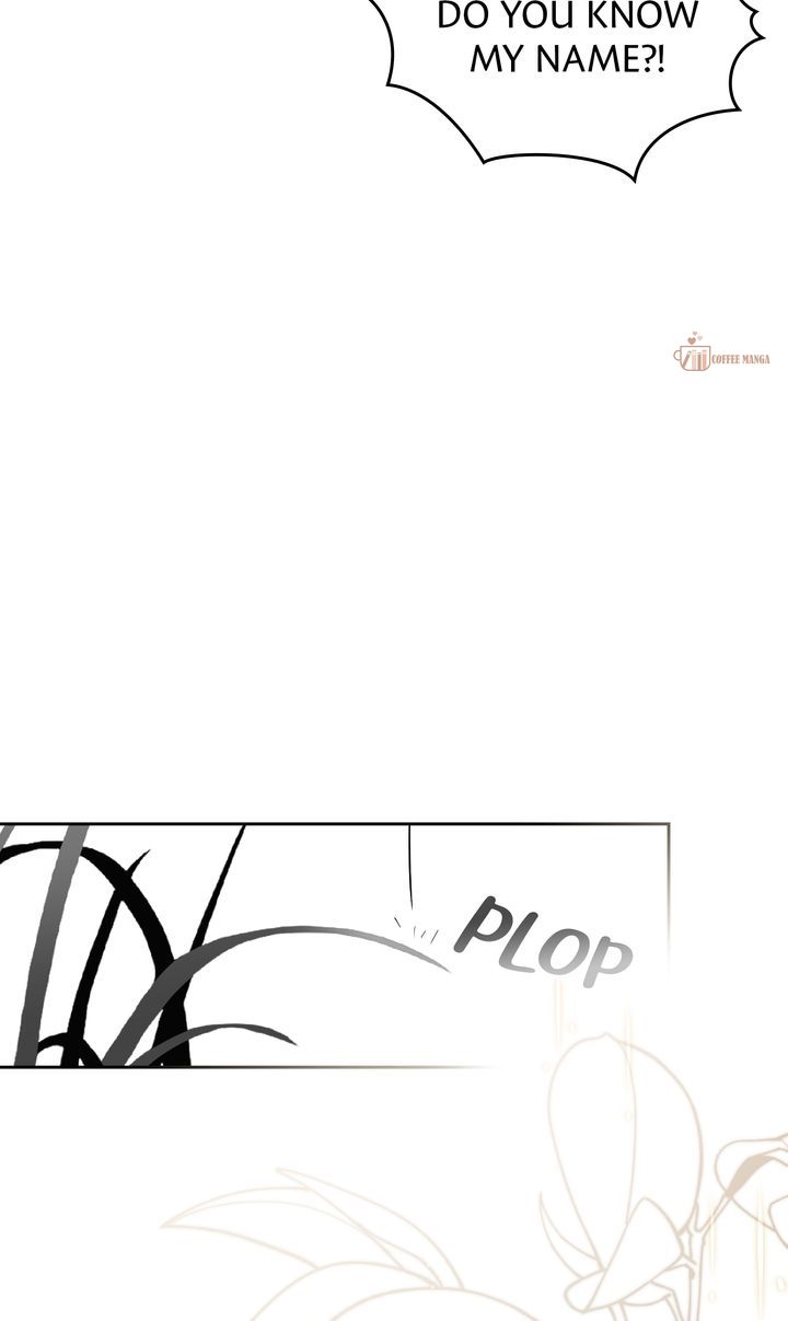 ch 91 17