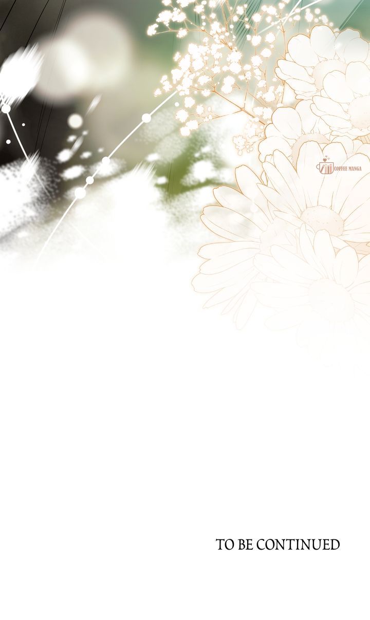 ch 91 67