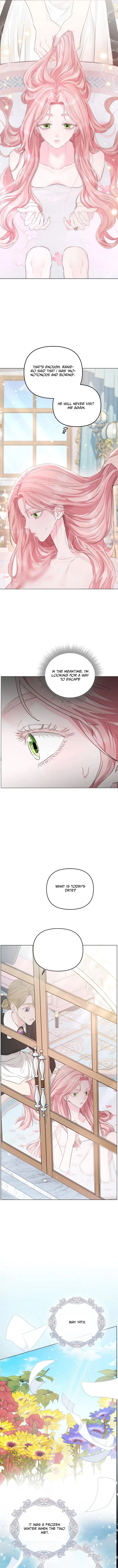 Dear Villainous Husband , the One to be Obsessed with is Over There Chapter 3 66 05